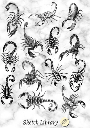 32 Scorpion Tattoo Brushes for Procreate | Tattoo Stamps for iPad & iPad Pro | Outline & Shading Versions | Old School, Tribal Designs