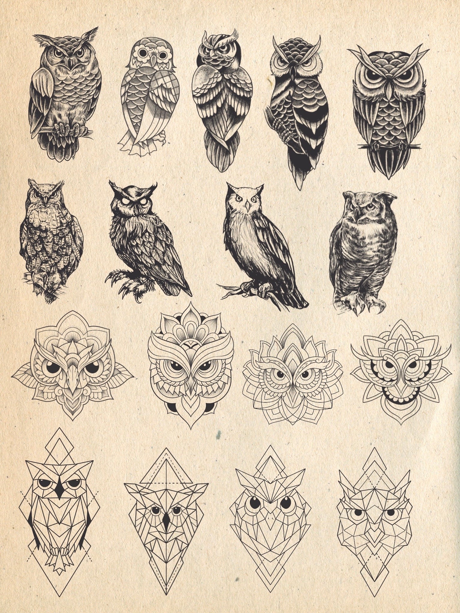 22 owl stamps // Brushes for procreate on ipad, tattoo procreate stamps, birds